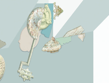 TN Mycelium Anna Gawronski